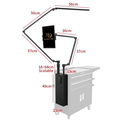 Audersigt Multifunctional And Convenient Tattoo Car Tattoo work Light Polarization Shadowless Light Remote Control The Light Brightness of Lamp 360 Degree Rotation